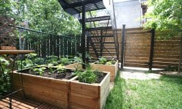 Ma première expérience de potager : des semis aux bacs surélevés