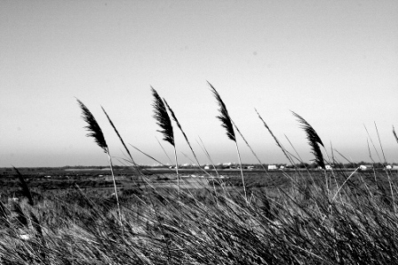 Photos en noir et blanc : comment choisir la couleur du cadre ?