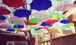 La photo du jour: parapluies suspendus au jardin