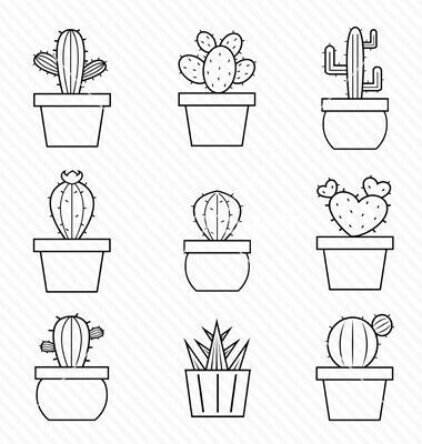 cactus dessin facile à faire / DIY cactus illustration