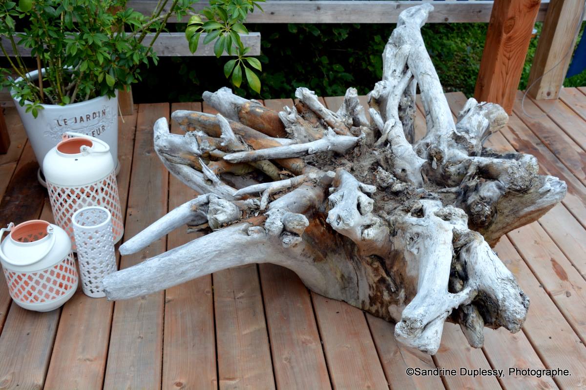 DIY table with tree stump, IKEA Hack using a glass table top / comment fabriquer une table basse avec une souche d'arbre