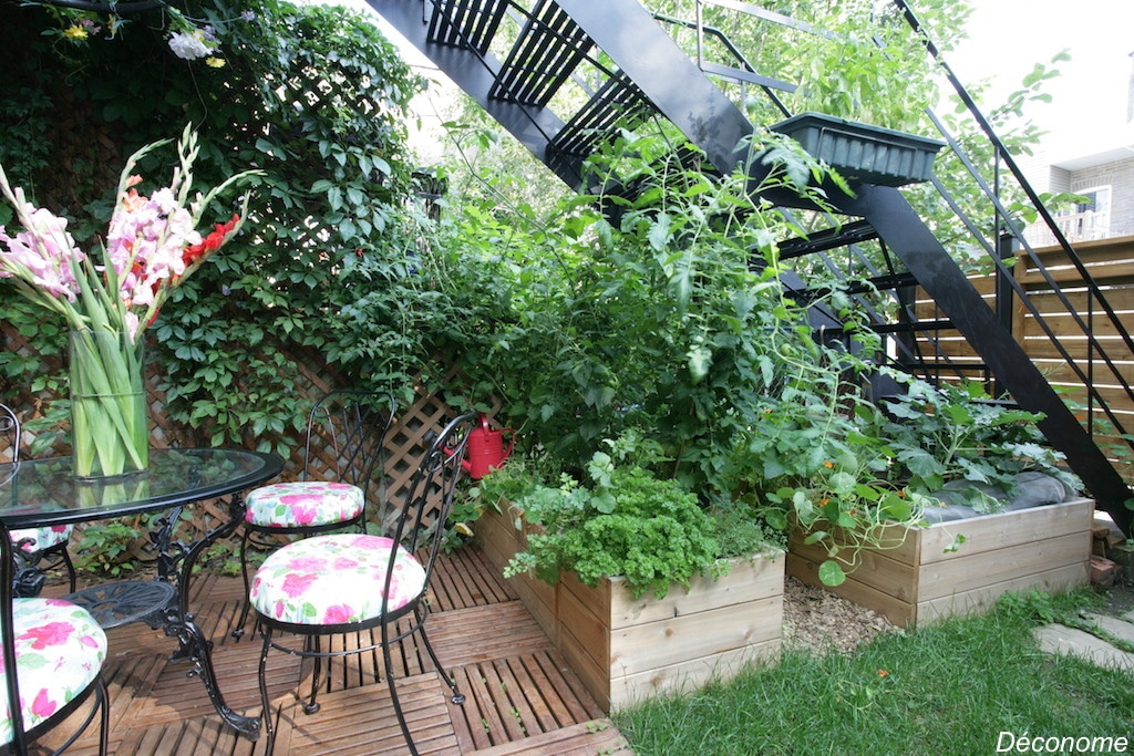 Raised bed vegetable garden using Miracle Gro's Nature care soil / fabrication d'un potager en bacs surélevés