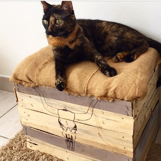 DIY pouf pour chat en jute et cagette