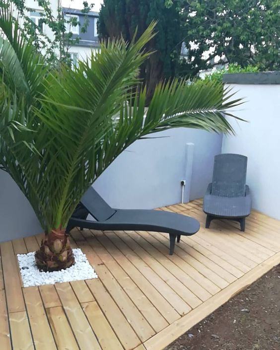 terrasse en bois au sol avec palmier encastré et chaises longues noires design