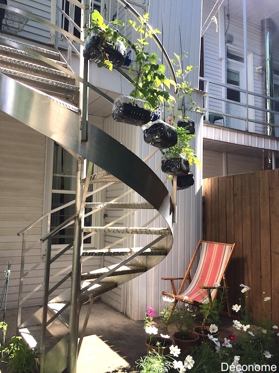 Potager dans bouteilles d'eau suspendues à un escalier / Staircase vegetable garden in water bottles