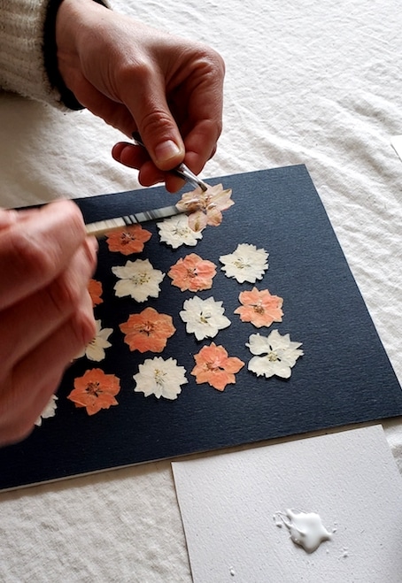 Tableaux de fleurs séchées et pressées / Pressed flower art