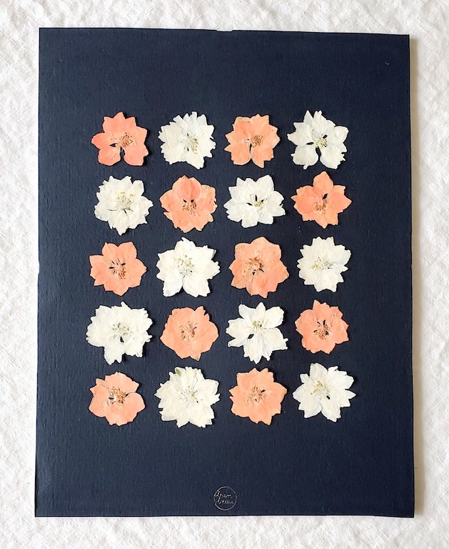 Tableaux de fleurs séchées et pressées / Pressed flower art