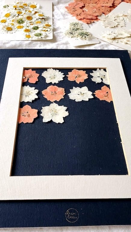 Tableaux de fleurs séchées et pressées / Pressed flower art