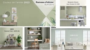 couleur tendance 2022 vert sauge