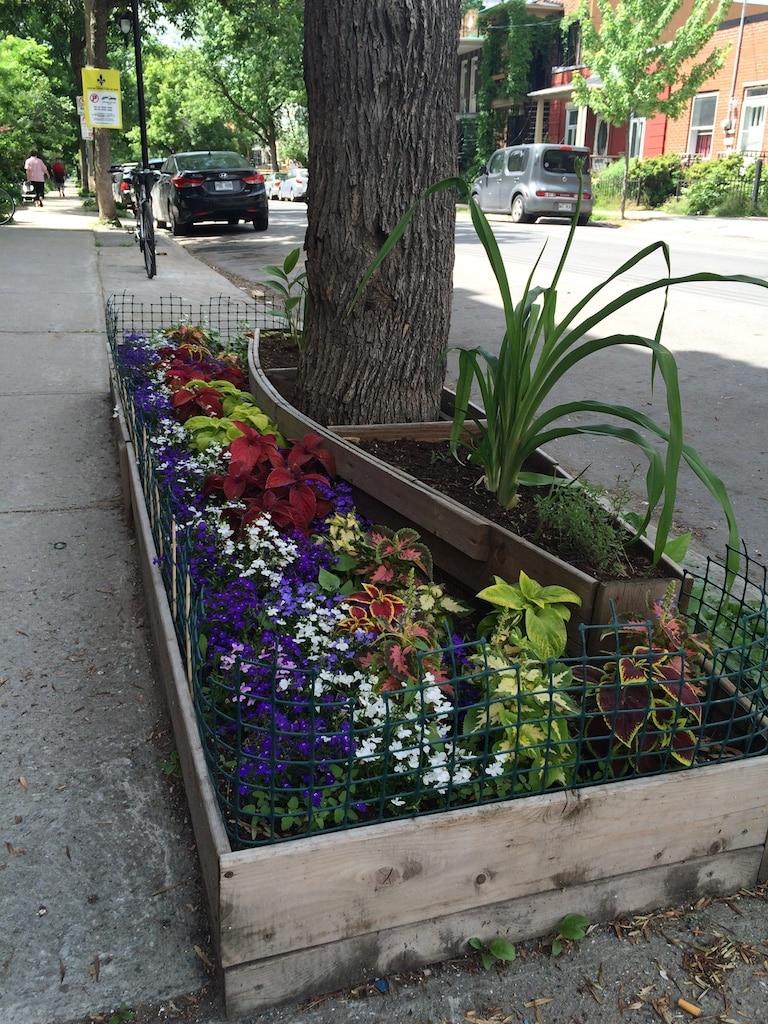 jardinière urbaine dans la ville