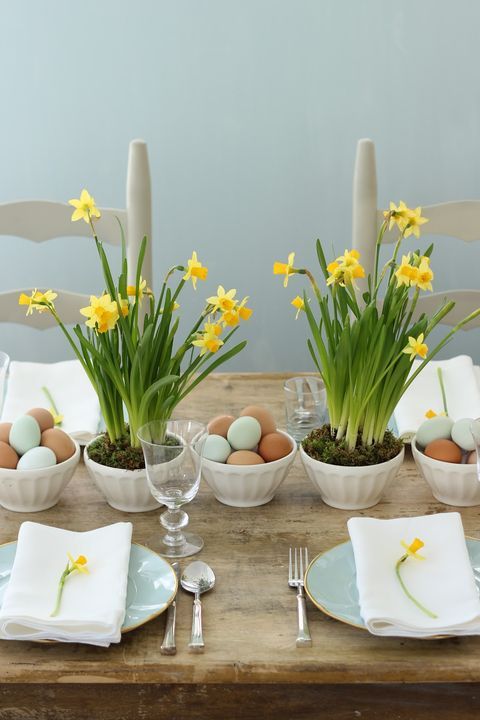 Fleurs jaunes jonquilles pour table de pâques